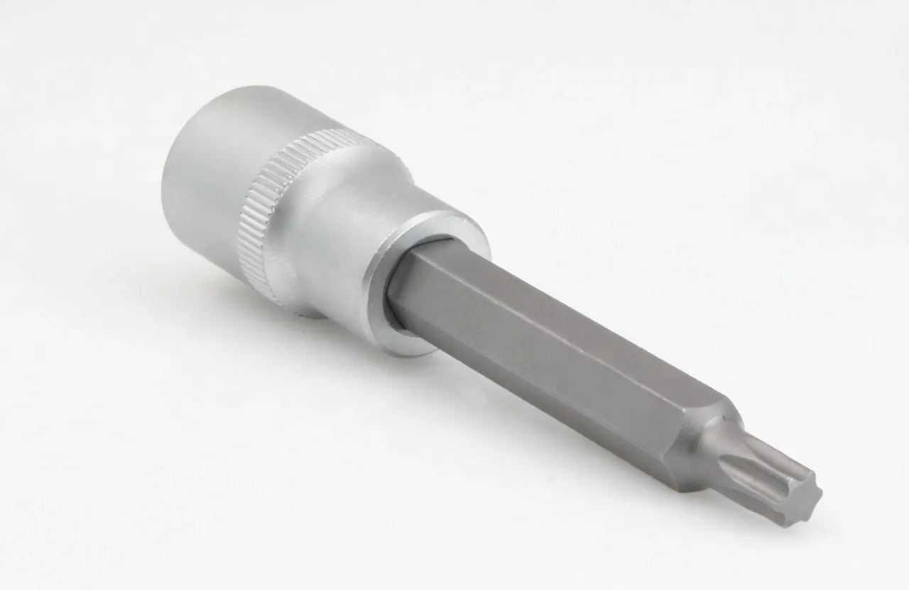 Profile of Torx bit in socket showing hex shank, torx tip and stamped size marking on chrome socket.