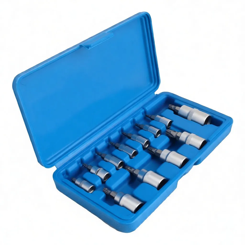 Angled perspective of blue case with chrome star bit sockets arranged from small to large