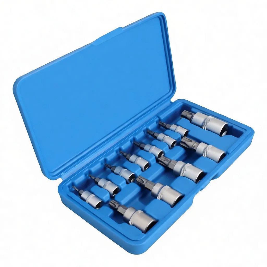 Angled view of open blue case with rows of chrome tamper-proof star bit sockets in molded slots and the case lid visible
