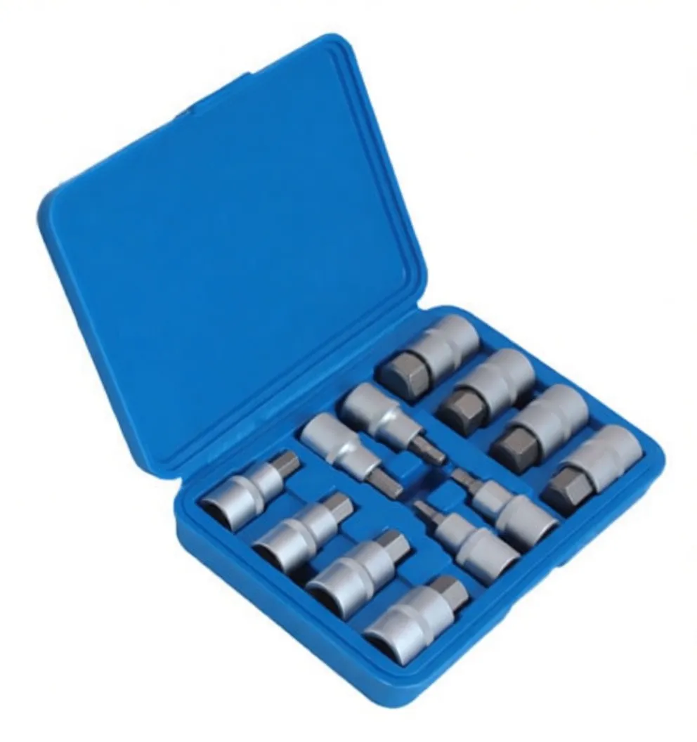 Angled shot of blue case with twelve silver hex bit sockets, mixed short and long bits, and white size markings