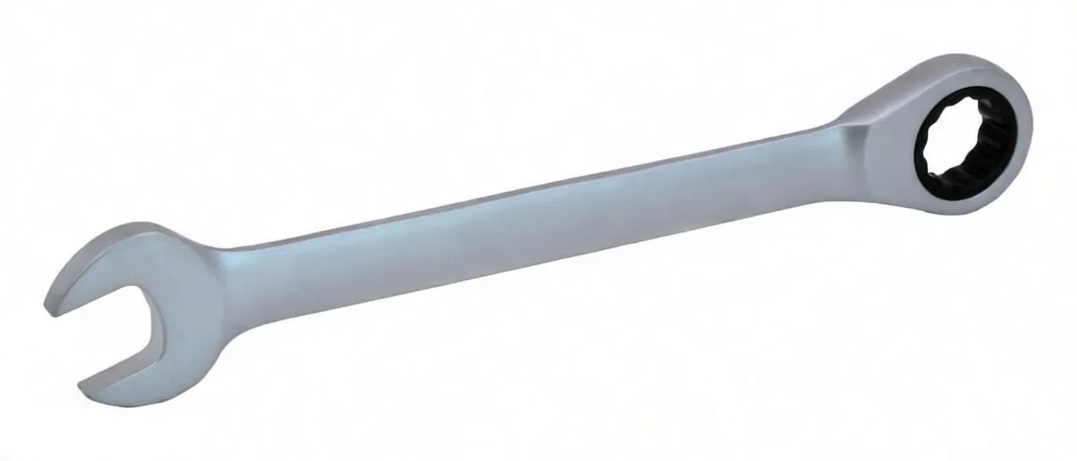 Single chrome combination wrench close-up showing open jaw, boxed ratcheting ring and stamped '19' on the handle.