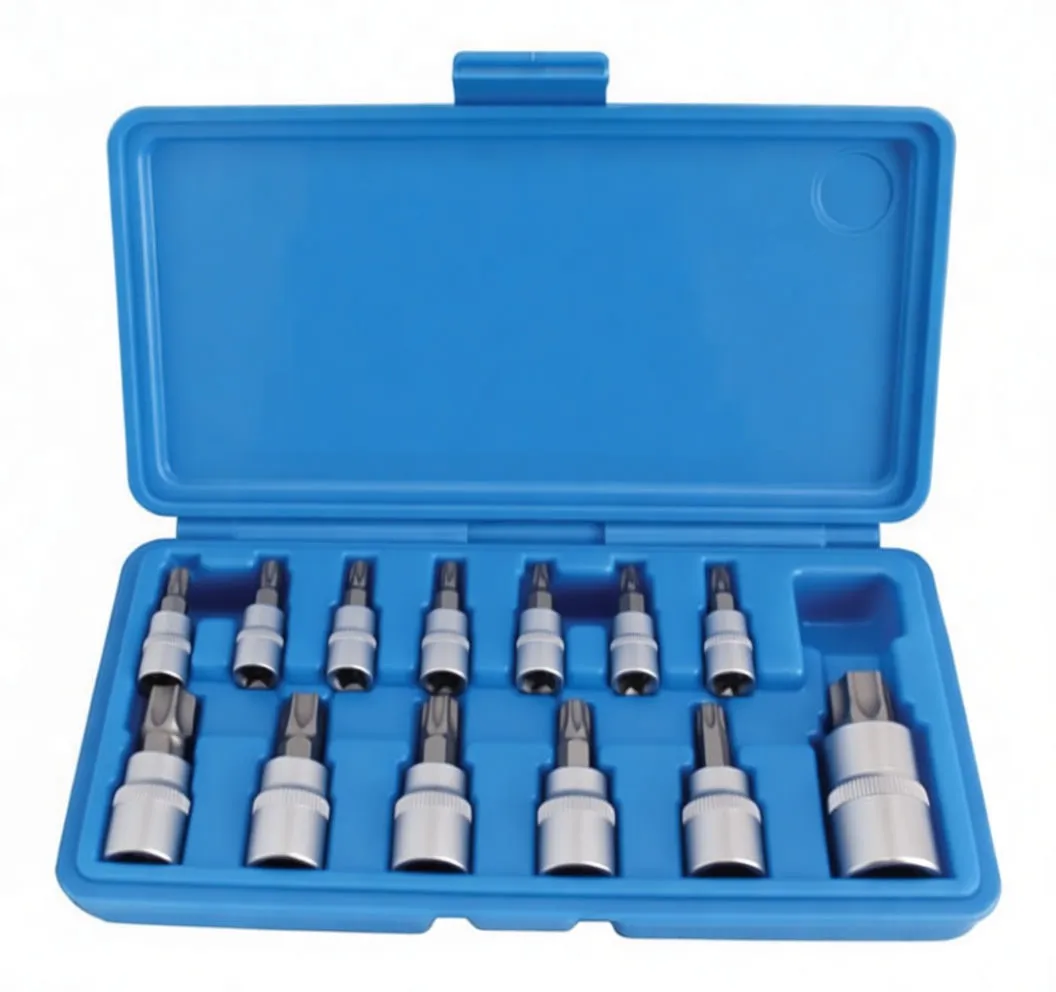 Angled open blue case with chrome tamper star bit sockets lined up in molded compartments