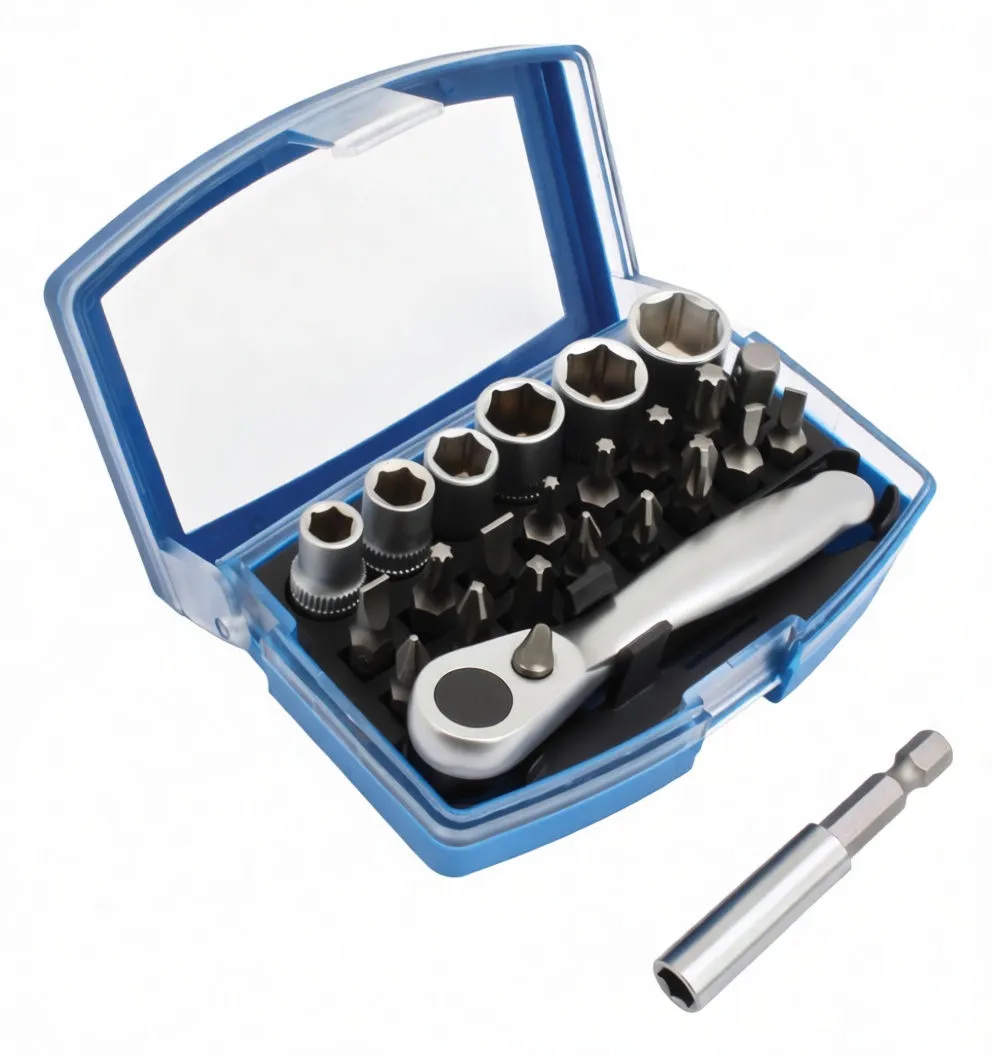 Laid-out 24-piece set showing sockets, assorted bits, ratchet handle and hex-shank adapter