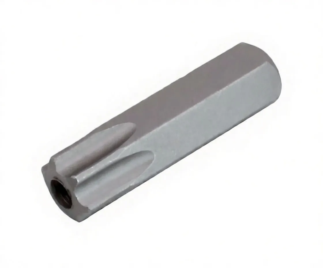 Oblique view showing hex shank, ASTA engraving and tamper Torx tip with central hole