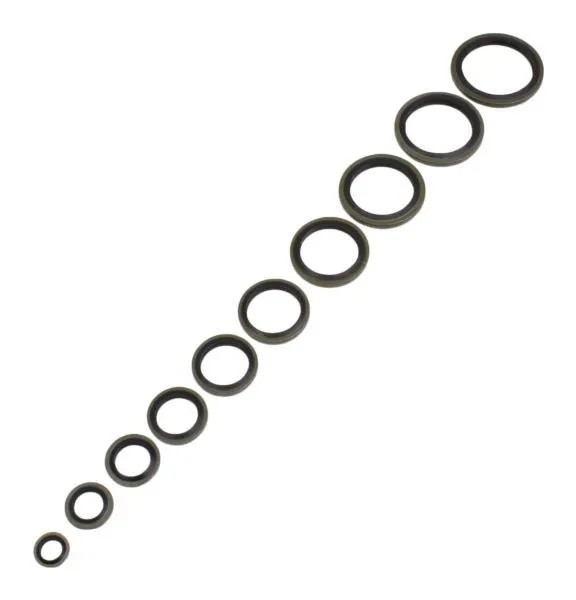 Line of bonded seal gaskets displayed from smallest to largest, showing metal outer rings with black rubber inner seals on a white background