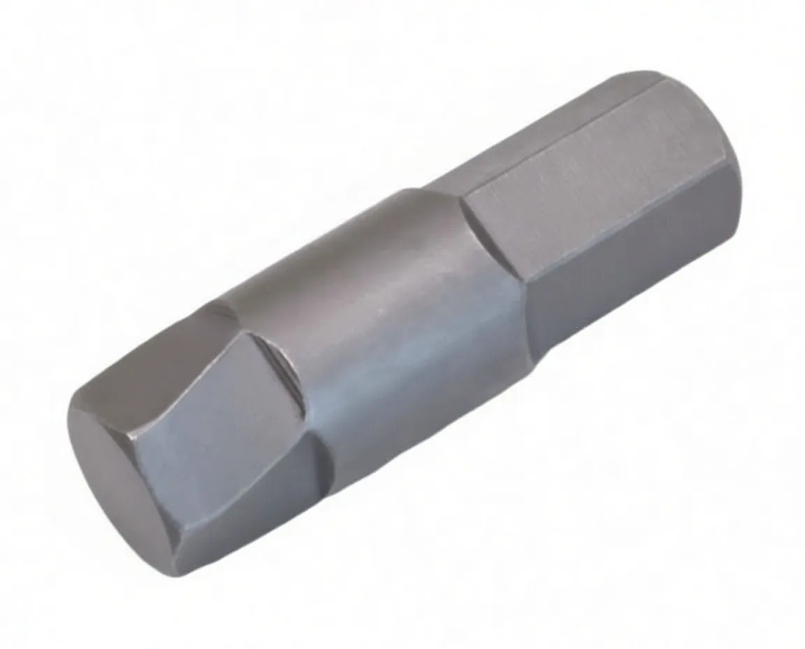 Close-up of a 10mm hex bit, double-ended, stamped A-H100E on the barrel and ASTA on a hex face, gray metal