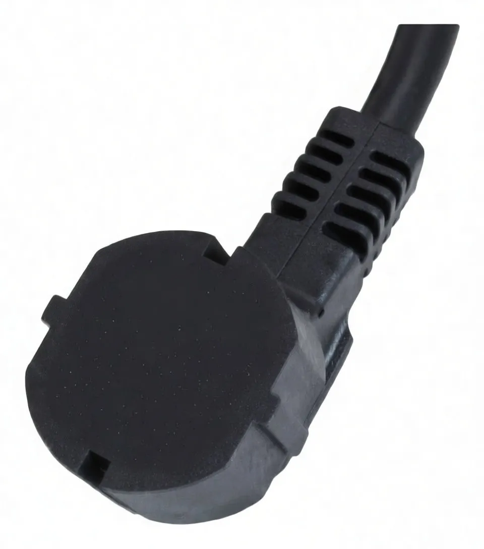 Close-up of black EU-style plug showing two round pins, earth metal clip, molded strain relief and embossed markings