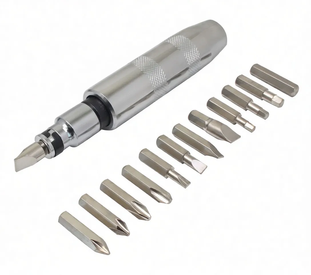Top-down open case with impact screwdriver laid inside and 13 bits arranged along the sides, brand marking on handle visible
