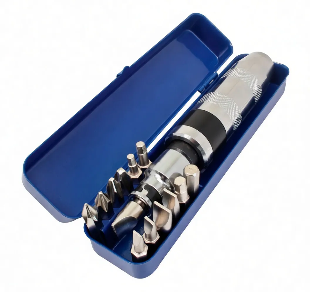 Open blue case holding impact screwdriver and bits arranged upright in molded slots, chrome handle visible