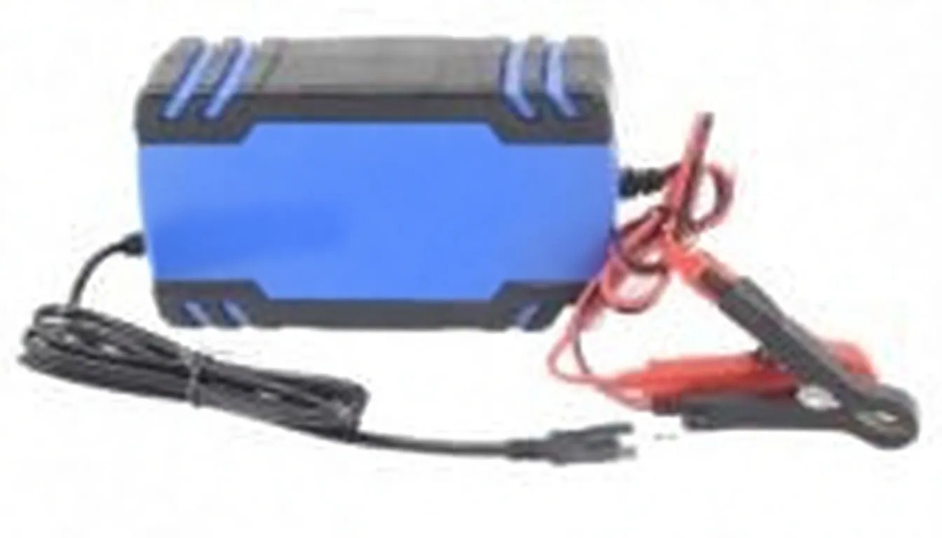 Rear view of the charger showing specification label, cable exits, and red/black clamps