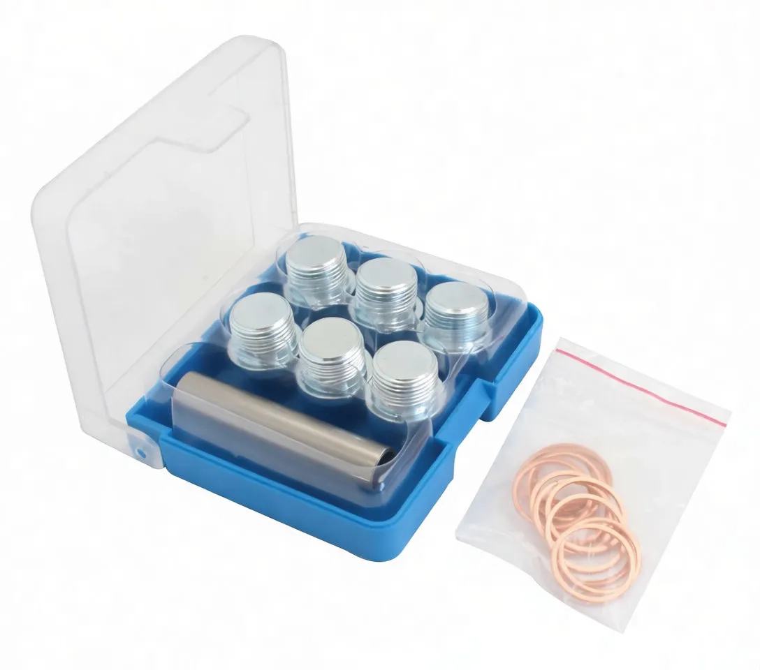 Angled view of kit with six threaded plugs, threading tool in tray and bag of copper washers beside case