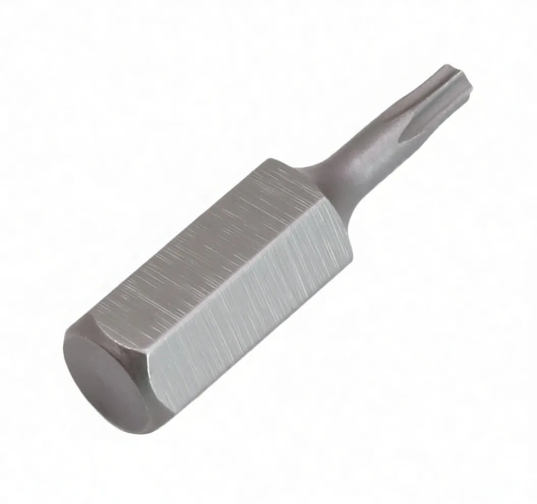 Close angled shot of a hex driver bit showing flat hex end, ASTA engraving and a slender Torx T15 tip