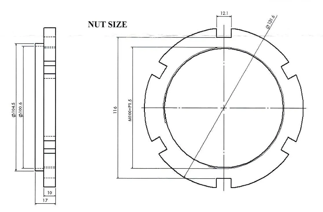 Technical line drawing of rear wheel nut socket showing top and side views with dimensions including M100xP1.5 and 116 mm.
