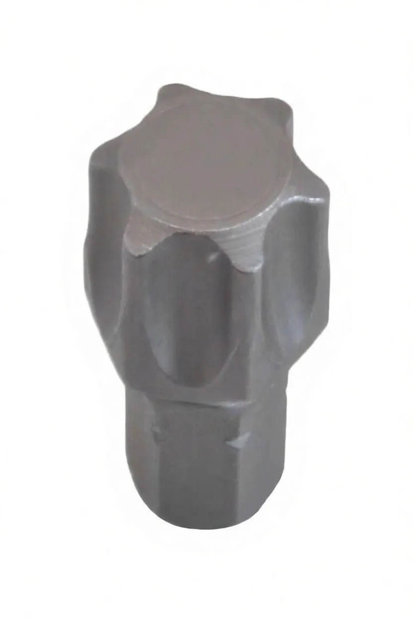 Oblique view of Torx driver bit showing tip, hex shank and 'ASTA' engraving