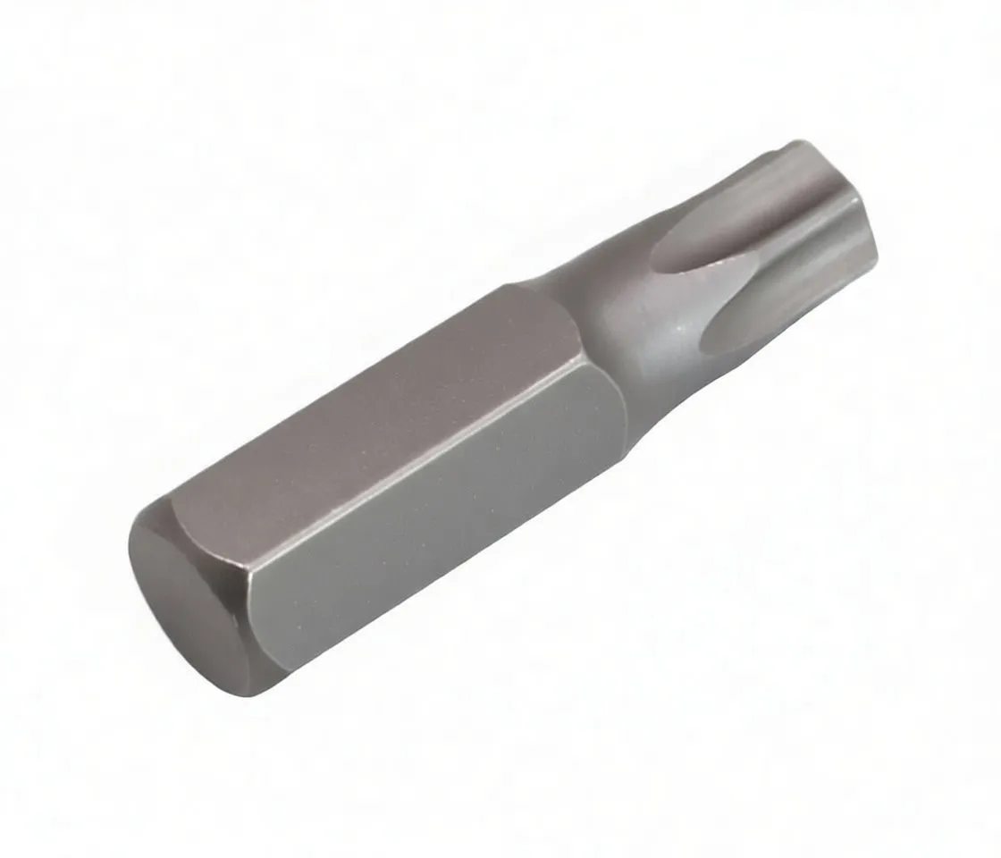 Angled side image of a Torx T40 bit with ASTA engraving on the hex shank and six-fluted tip.