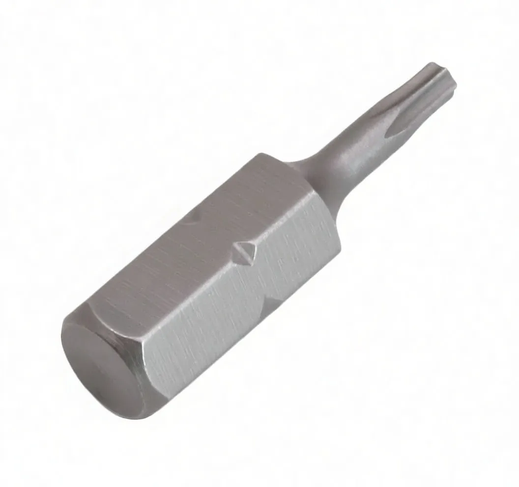 Diagonal view of Torx T10 bit with ASTA logo, showing tip, neck and hex shank