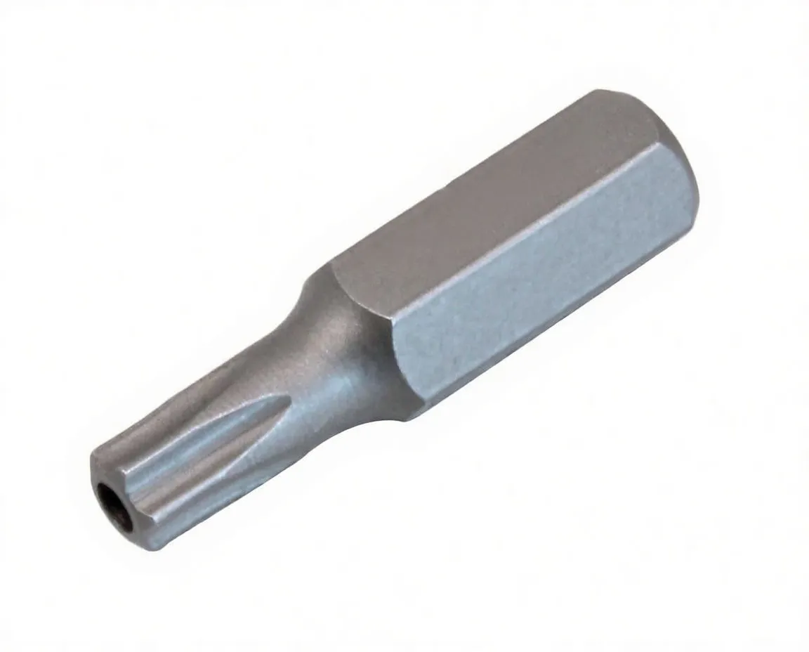 Torx T10 tamper bit on its side showing ASTA stamped on hex shank and center-pin hole