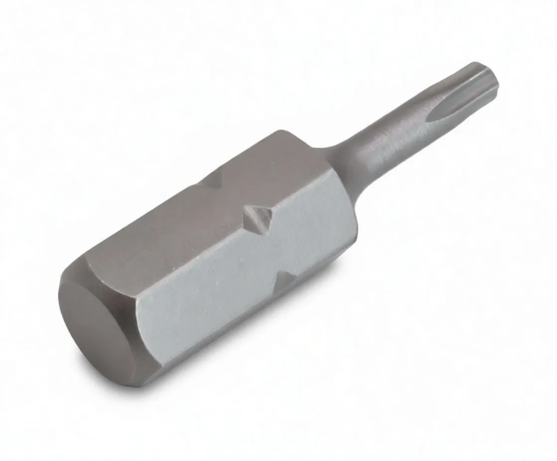 Side view of ASTA tamper Torx bit showing full length and central pin hole