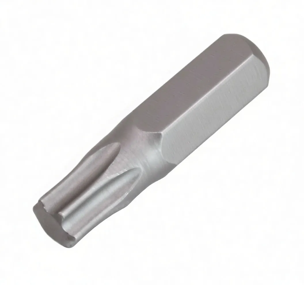 Angled view of ASTA T25 1/4-inch hex screwdriver bit