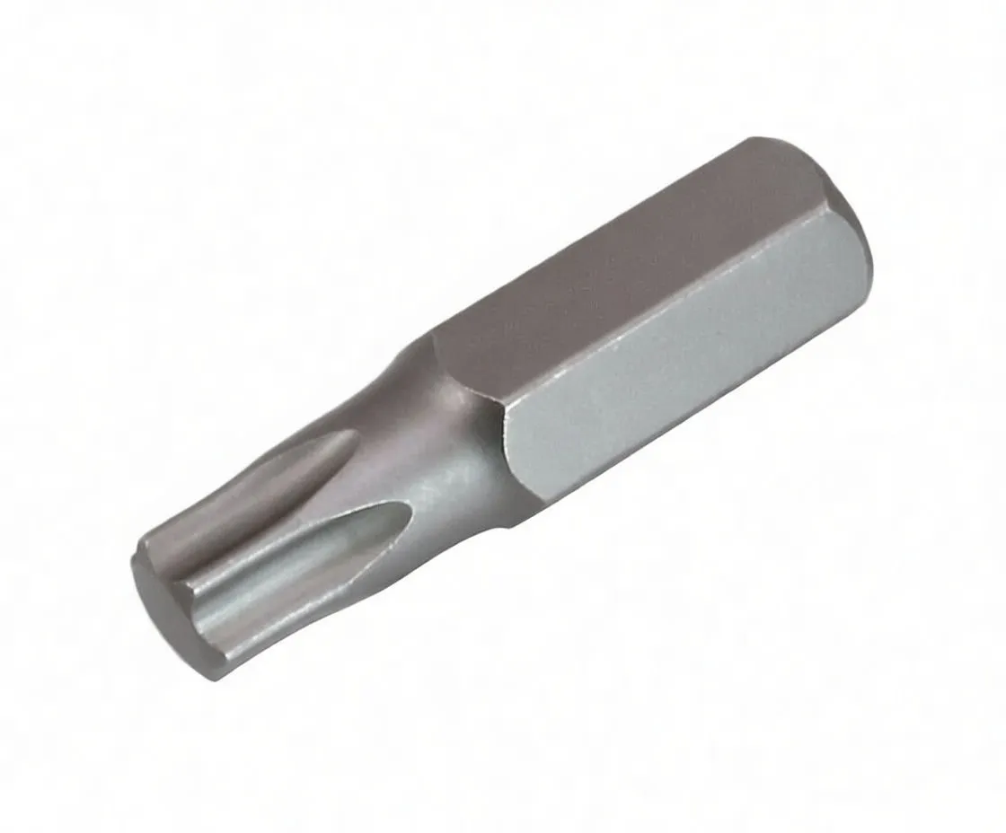 Angled side photo of a Torx T50 bit with six-lobed tip, hex shank and ASTA logo engraved on the shank.